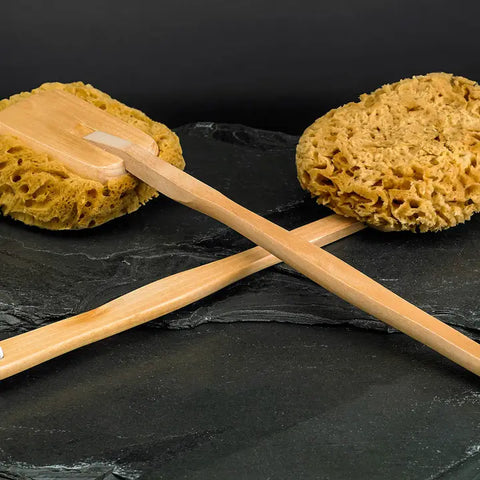 Natural Sponge on a Stick