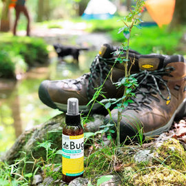 DeBug Spray - Natural Bug Repellant