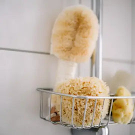 Natural Sea Sponge